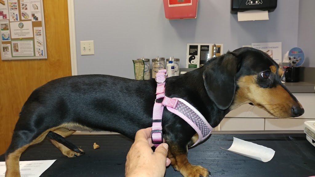 Mebane Pet Clinic | 900 Mebane Oaks Rd, Mebane, NC 27302, USA | Phone: (919) 304-5200