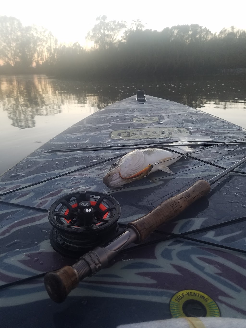 Petaluma Stand Up Paddle | @ SAV UP CrossFit, 1075 Lakeville St, Petaluma, CA 94952, USA | Phone: (707) 486-4314