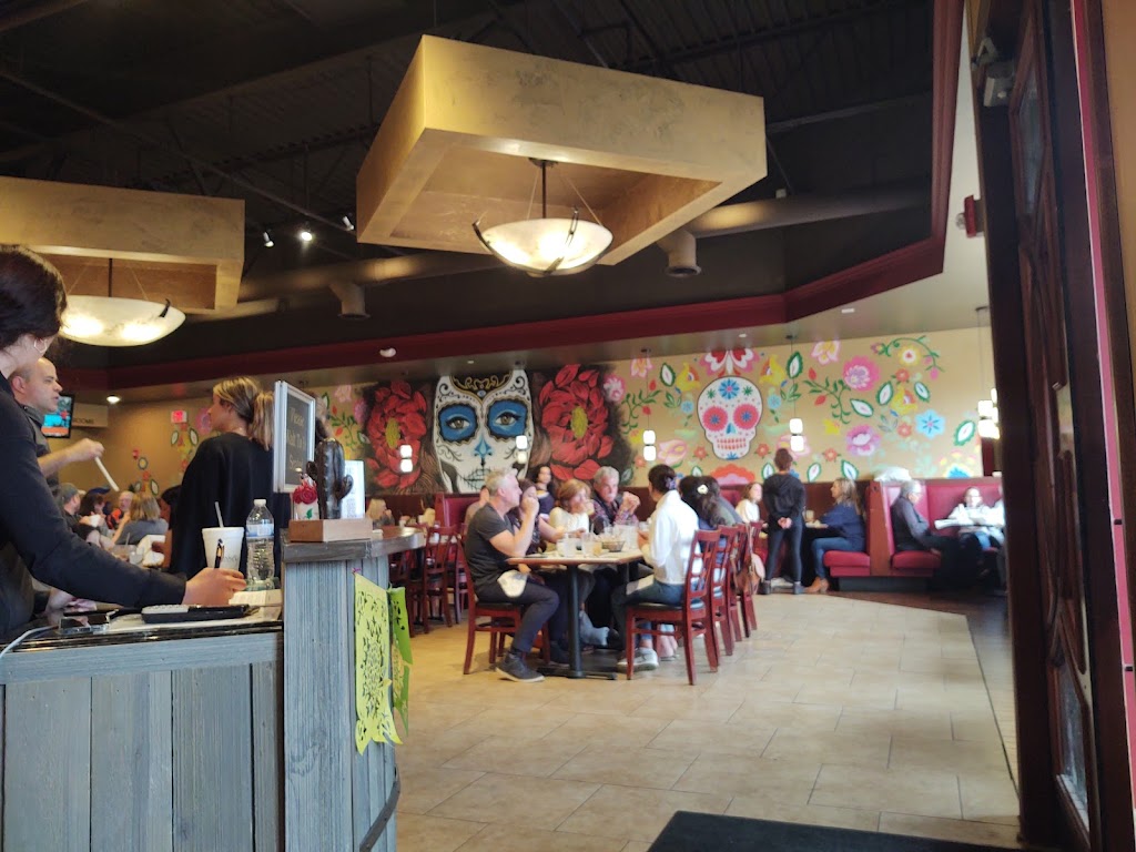 Romeros Tacos and Tequila | 55208 Van Dyke Ave, Shelby Township, MI 48316, USA | Phone: (586) 745-7435