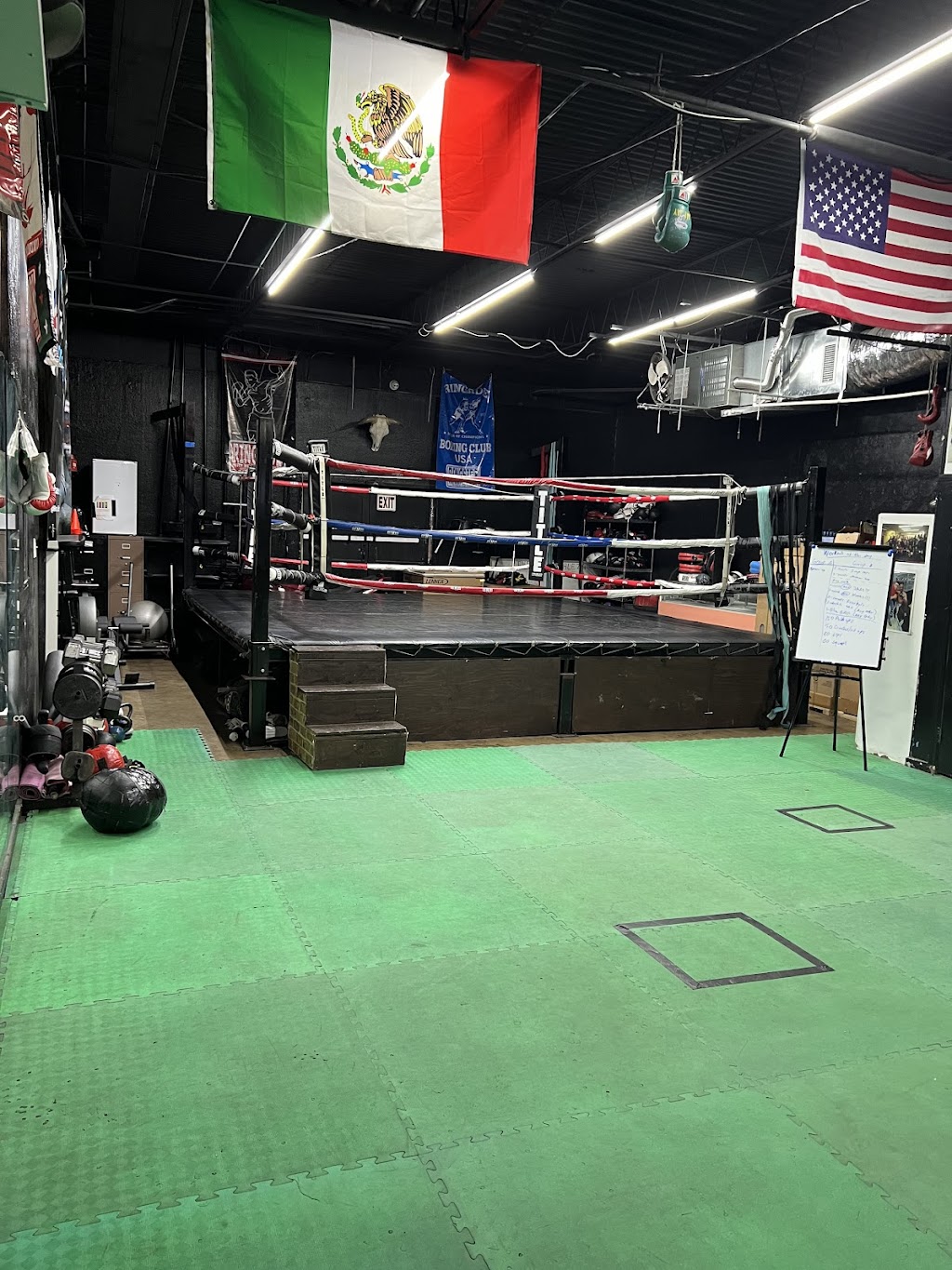 AlphaBox Boxing & Fitness | 11171 Harry Hines Blvd Suite 117, Dallas, TX 75229, USA | Phone: (469) 666-0937