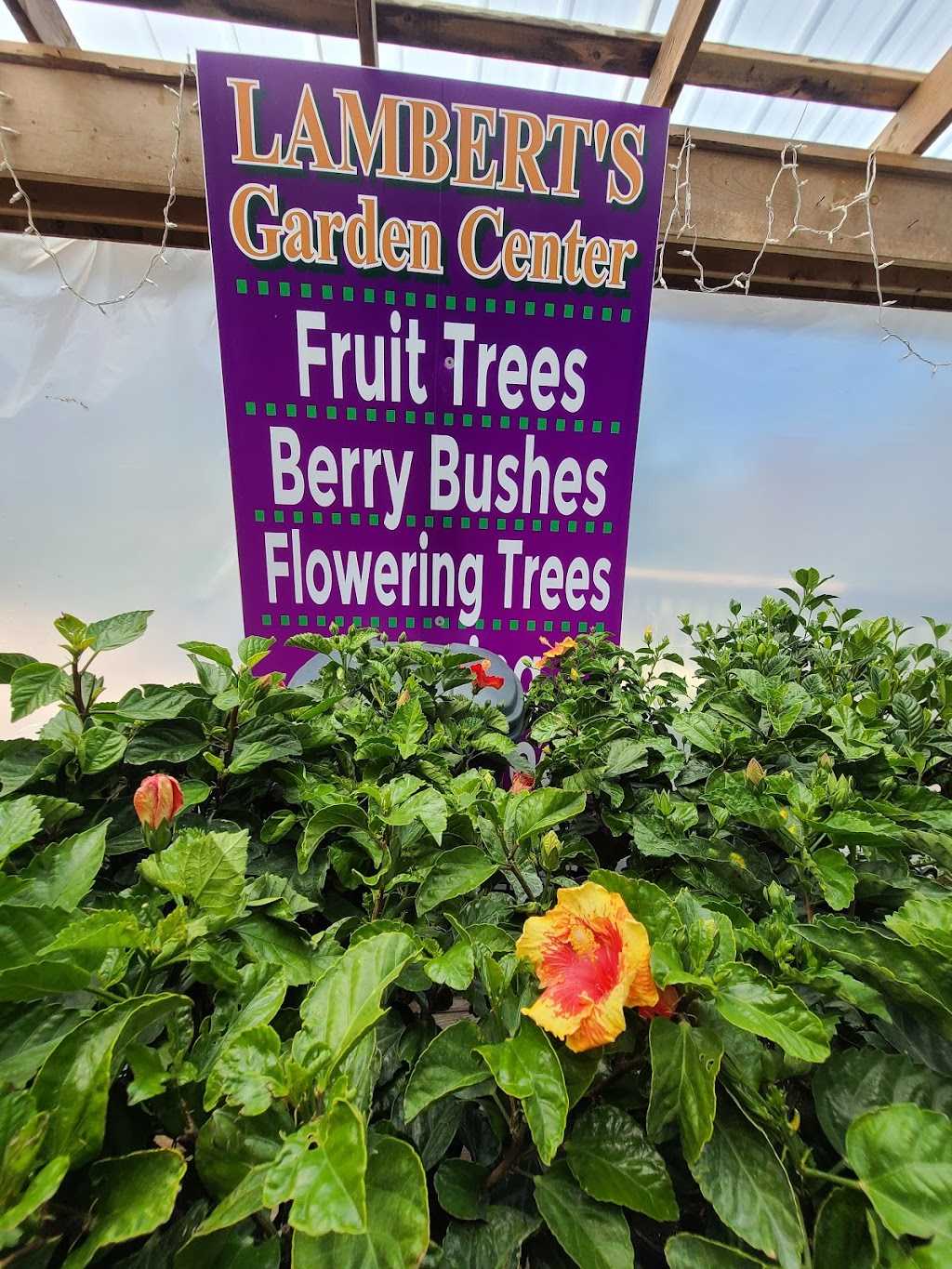 Lamberts Garden Center | 1 Cape Rd, Mendon, MA 01756, USA | Phone: (781) 389-5797