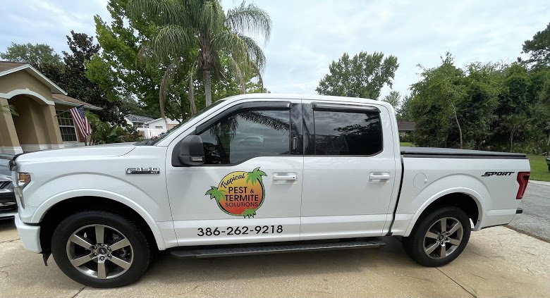 Tropical Pest and Termite Solutions | 2729 Unity Tree Dr, Edgewater, FL 32141, USA | Phone: (386) 262-9218