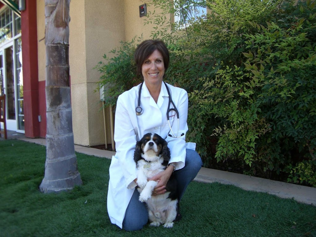 Doctors Pet Clinic | 25182 Hancock Ave, Murrieta, CA 92562, USA | Phone: (951) 698-7387