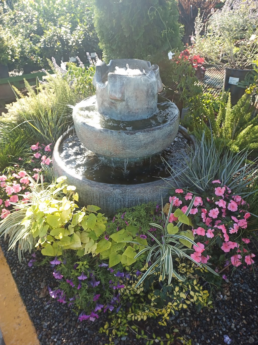 Frantz Garden Center | 12879 Riverview Rd, Hickman, CA 95323, USA | Phone: (209) 874-4769