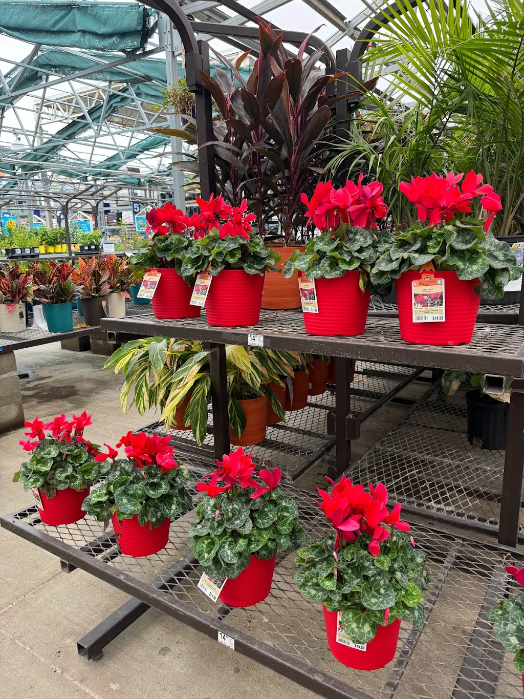 Lowes Garden Center | 8550 State Hwy 121, McKinney, TX 75070, USA | Phone: (972) 908-3800