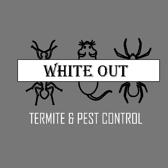White Out Termite and Pest Control | 2502 Blue Quail Dr, Arlington, TX 76017, USA | Phone: (817) 675-9135