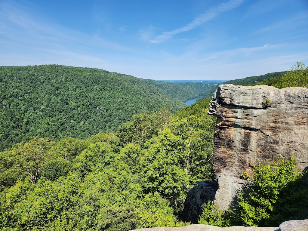 Coopers Rock State Forest | 61 County Line Dr, Bruceton Mills, WV 26525, USA | Phone: (304) 594-1561
