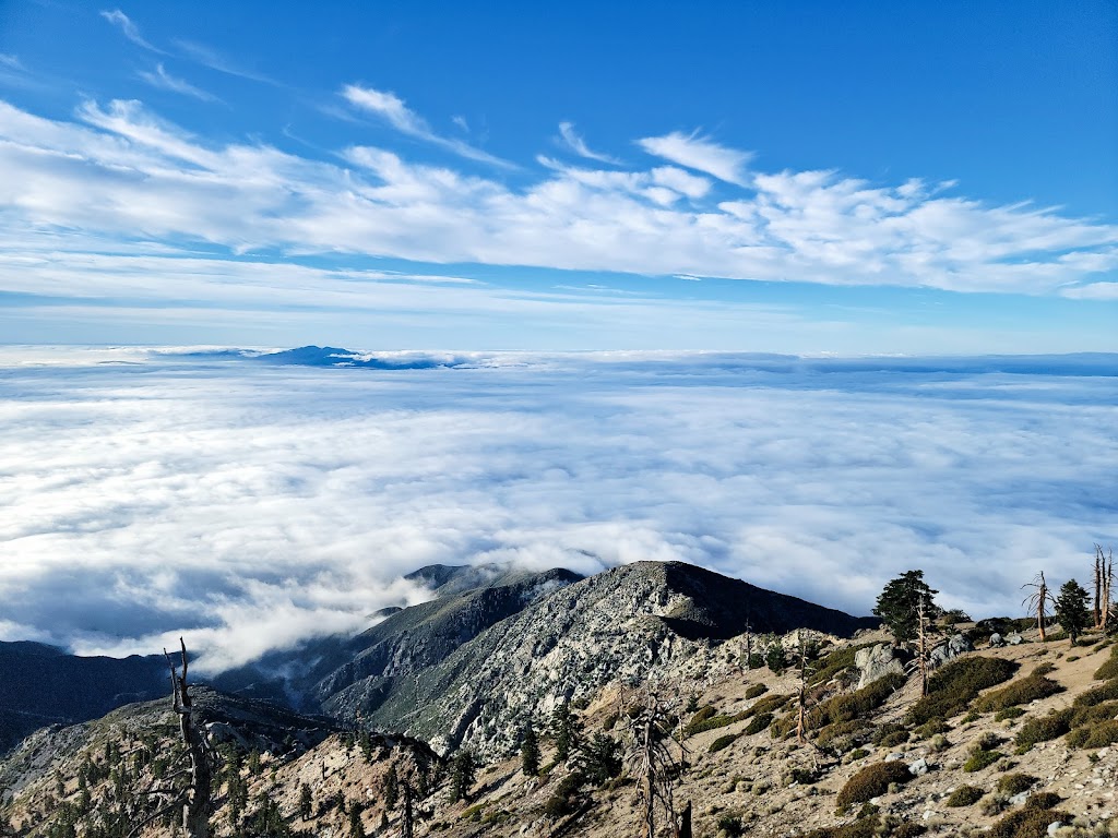 Cucamonga Wilderness | W Cucamonga Truck Trail, Lytle Creek, CA 92358, USA | Phone: (909) 382-2851