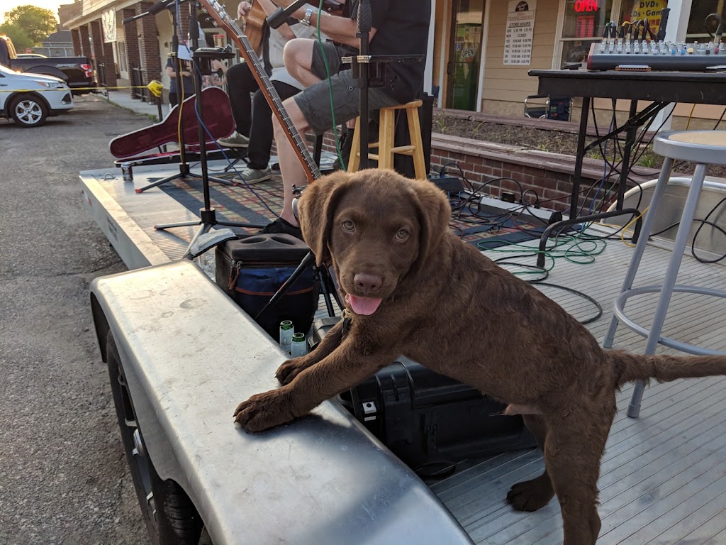 Vyntage Vinyl | 1902 Old W Main St, Red Wing, MN 55066, USA | Phone: (651) 388-5458