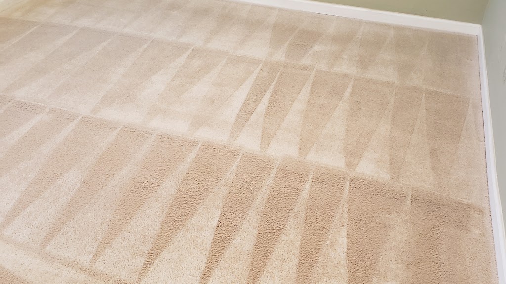 Home Sweet Home Carpet Cleaning | 901 Corey Ln apt 221, Wheeling, IL 60090, USA | Phone: (847) 348-9355