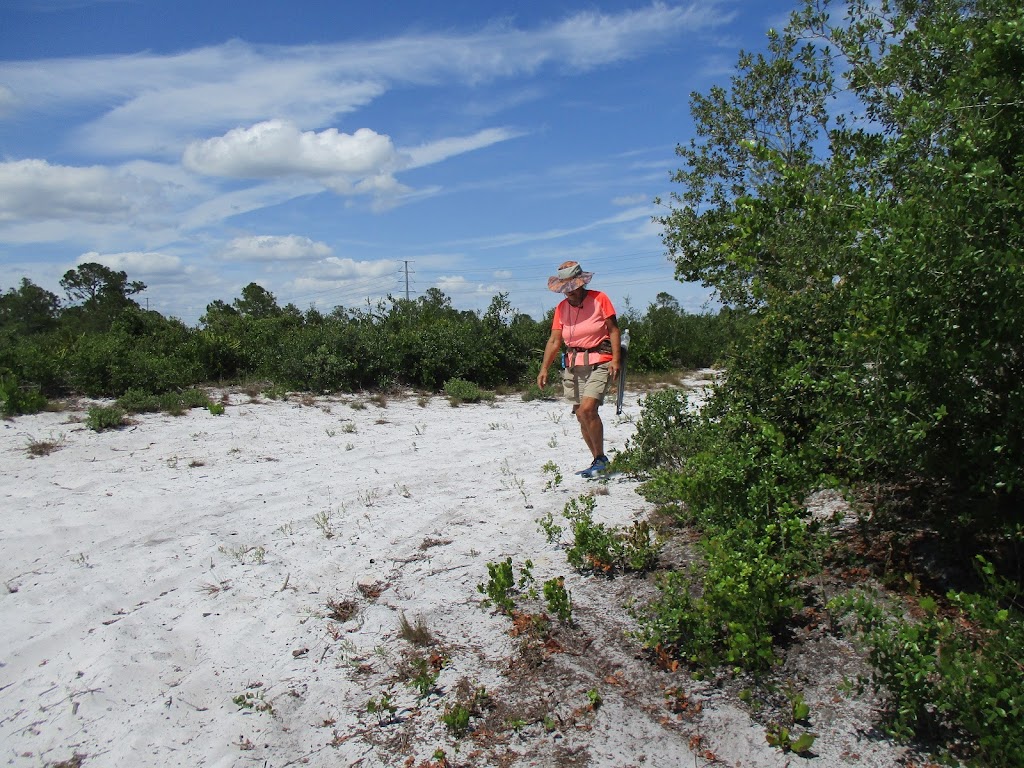 Lake Marion Creek Horseshoe Scrub Tract, South Property | Haines City, FL 33844, USA | Phone: (561) 686-8800