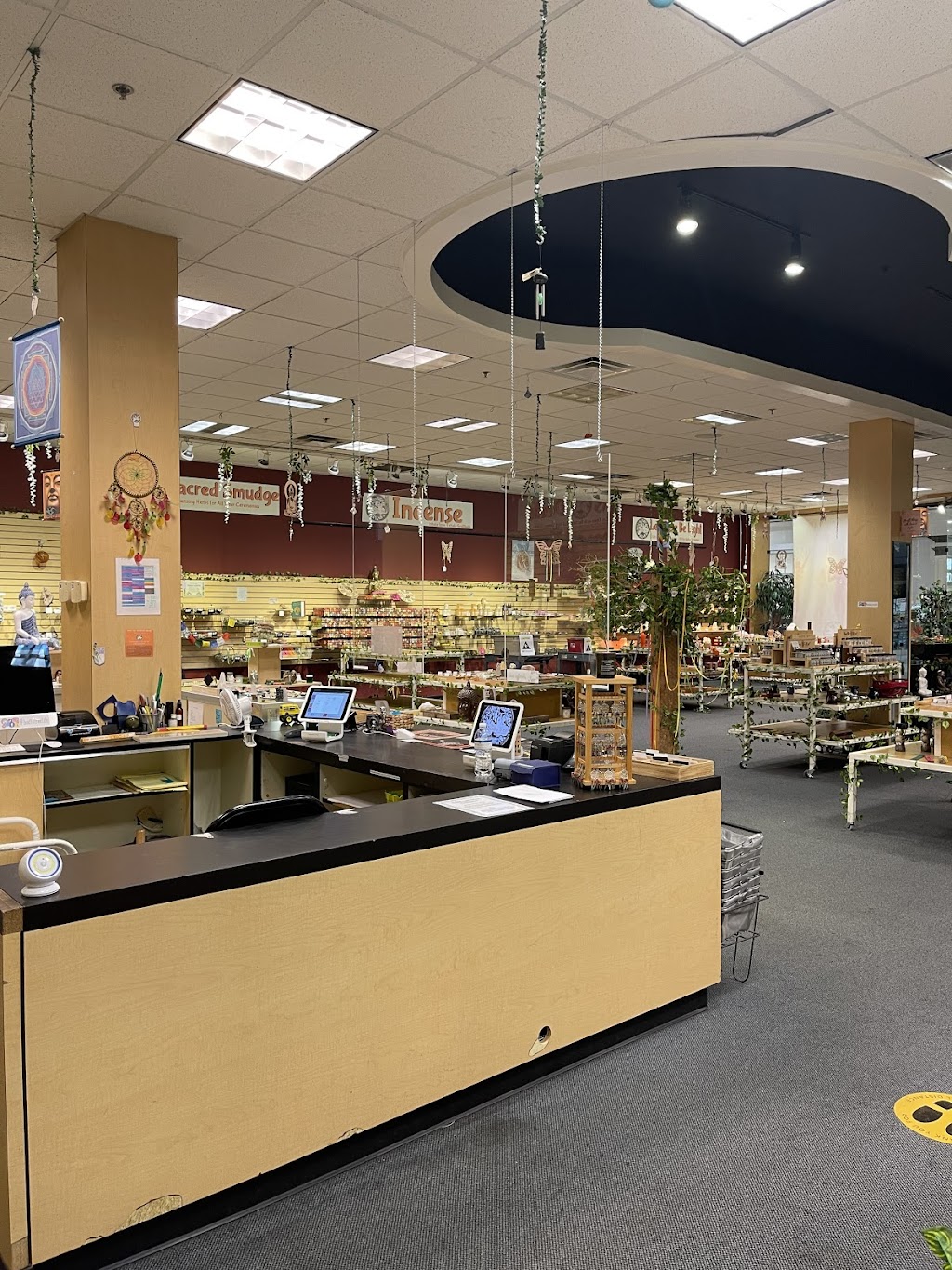 The Bodhi Tree - Port Richey | 9409 US-19 #667, Port Richey, FL 34668, USA | Phone: (727) 807-6926