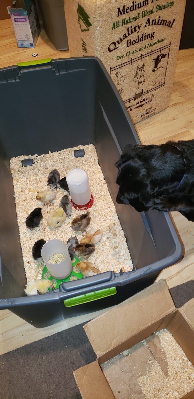 Spikes & Houles Feed, Seed, & Pet Supply | 55 2nd St SW, Forest Lake, MN 55025, USA | Phone: (651) 464-3326