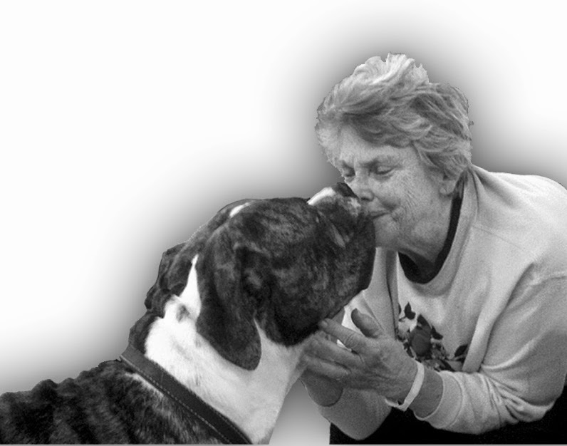 Healing Hearts Animal Therapy International | 102 Lycippus Hardware Rd, Latrobe, PA 15650, USA | Phone: (724) 691-0196