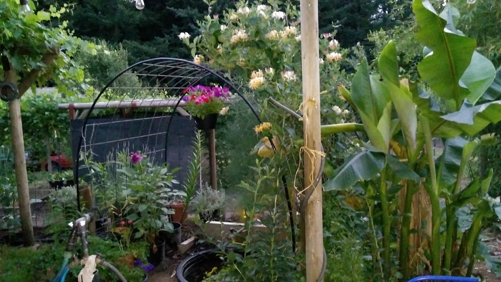 Redland Blueberry Farm | 18900 S Pear Rd, Oregon City, OR 97045, USA | Phone: (503) 631-4141