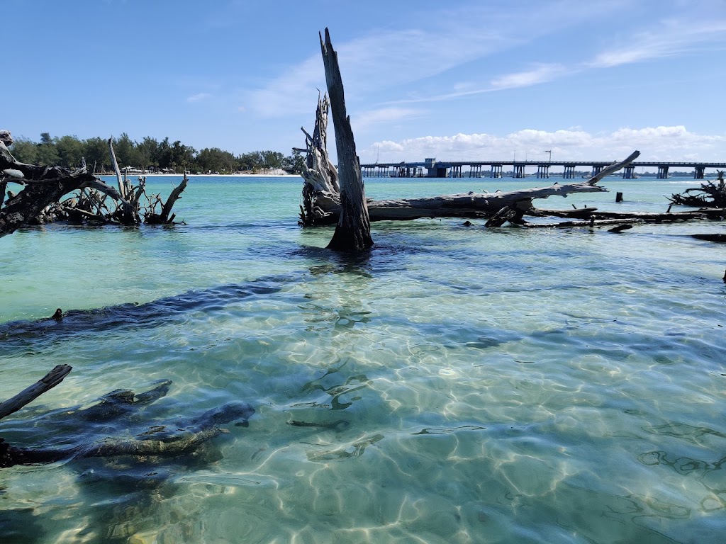 Happy Paddler Kayak Tours & EcoVentures | 6844 Gulf of Mexico Dr, Longboat Key, FL 34228, USA | Phone: (941) 773-1920