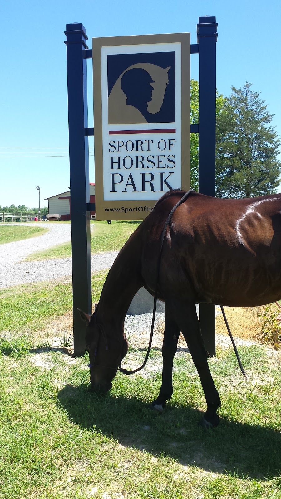 Sport of Horses Park | 1755 Quakenbush Rd, Snow Camp, NC 27349, USA | Phone: (866) 800-0764
