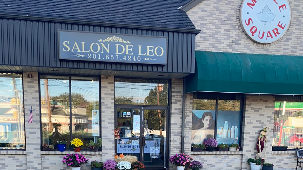 Salon De Leo | 10-15 Maple Ave, Glen Rock, NJ 07452, USA | Phone: (201) 857-4240