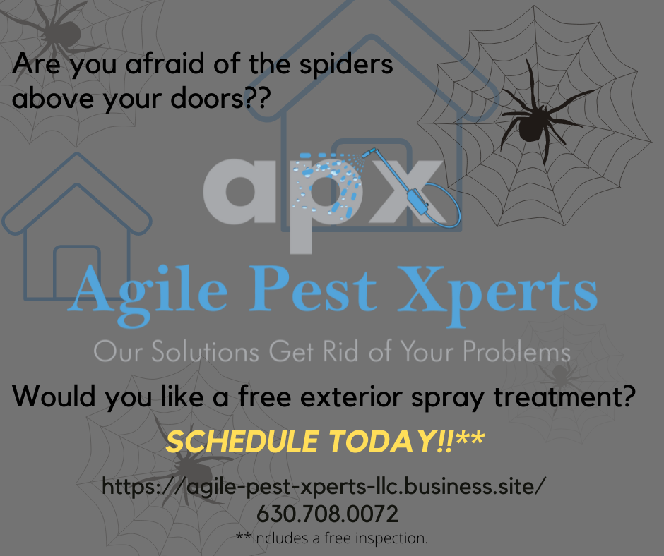 Agile Pest Xperts, LLC | 9800 Connecticut Dr, Crown Point, IN 46307, USA | Phone: (630) 708-0072