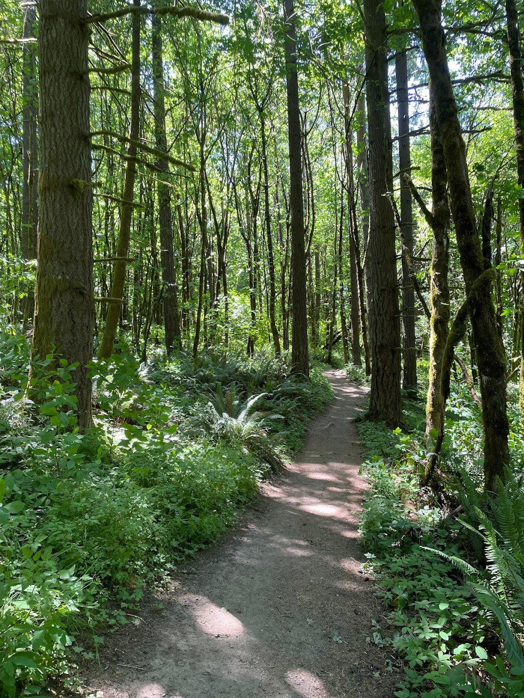 Whipple Creek Regional Park | 17202 NW 21st Ave, Ridgefield, WA 98642, USA | Phone: (360) 397-2285