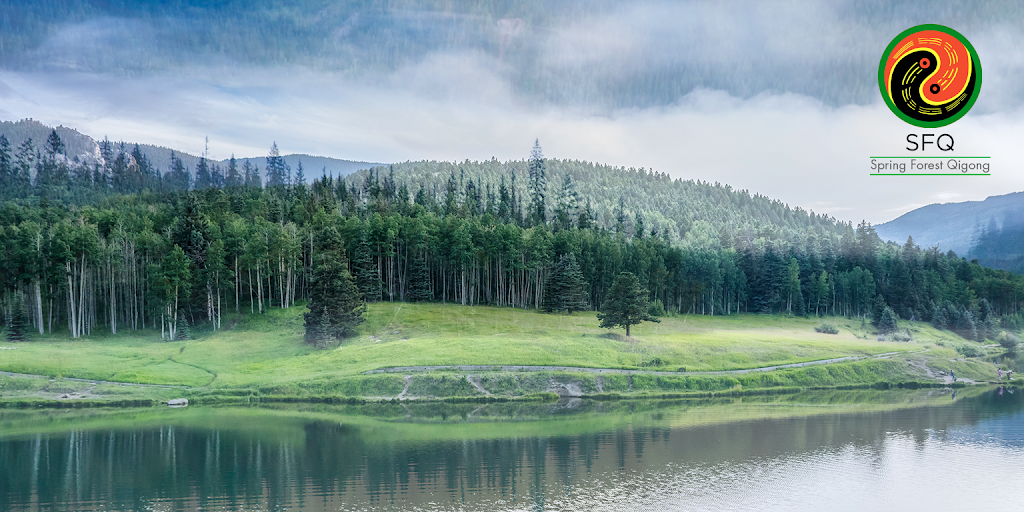 Spring Forest Qigong Healing Center | 7520 Market Pl Dr, Eden Prairie, MN 55344, USA | Phone: (952) 593-5555