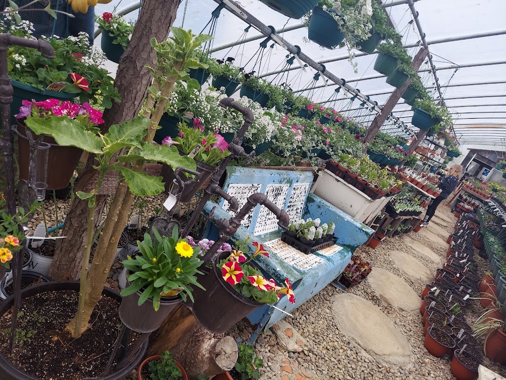 Always In Bloom Home & Garden | 10027 Silica Sand Rd, Garrettsville, OH 44231, USA | Phone: (216) 276-9304