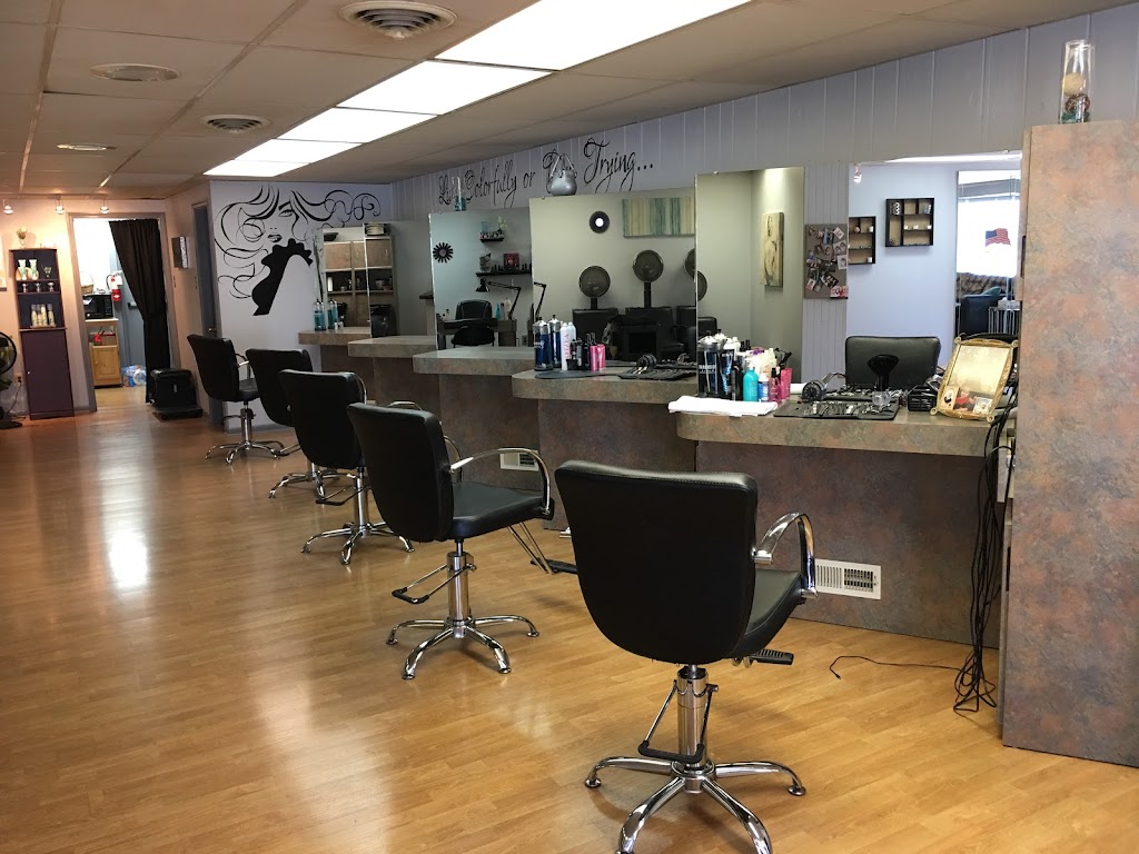 Diannas Hair Salon | 3333 Ridge Pike #1, Eagleville, PA 19403, USA | Phone: (610) 539-9631