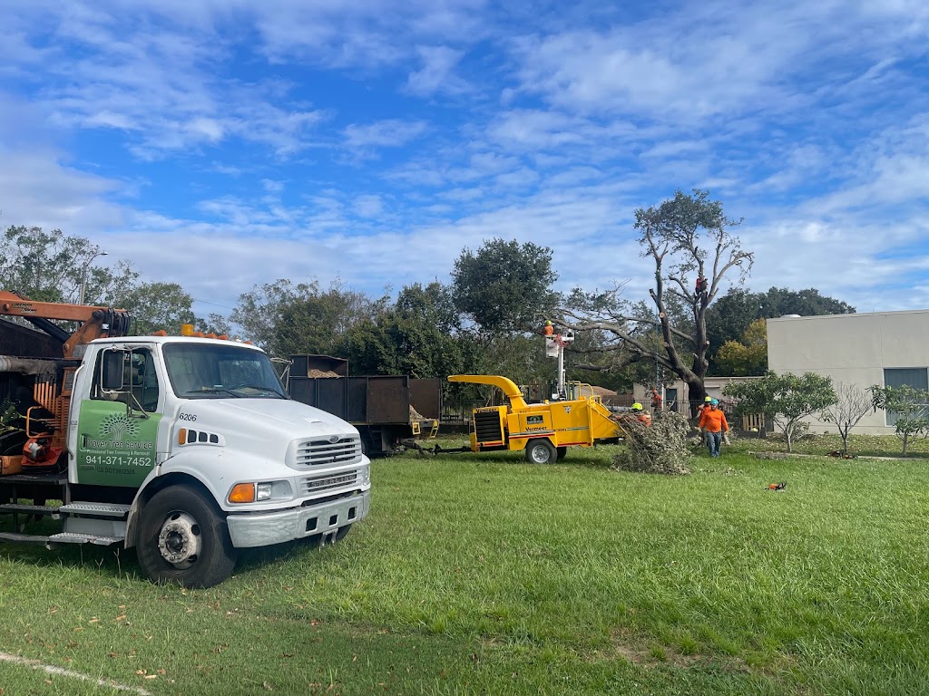 Troyer Tree Service | 6742 Richardson Rd, Sarasota, FL 34240, USA | Phone: (941) 371-7452