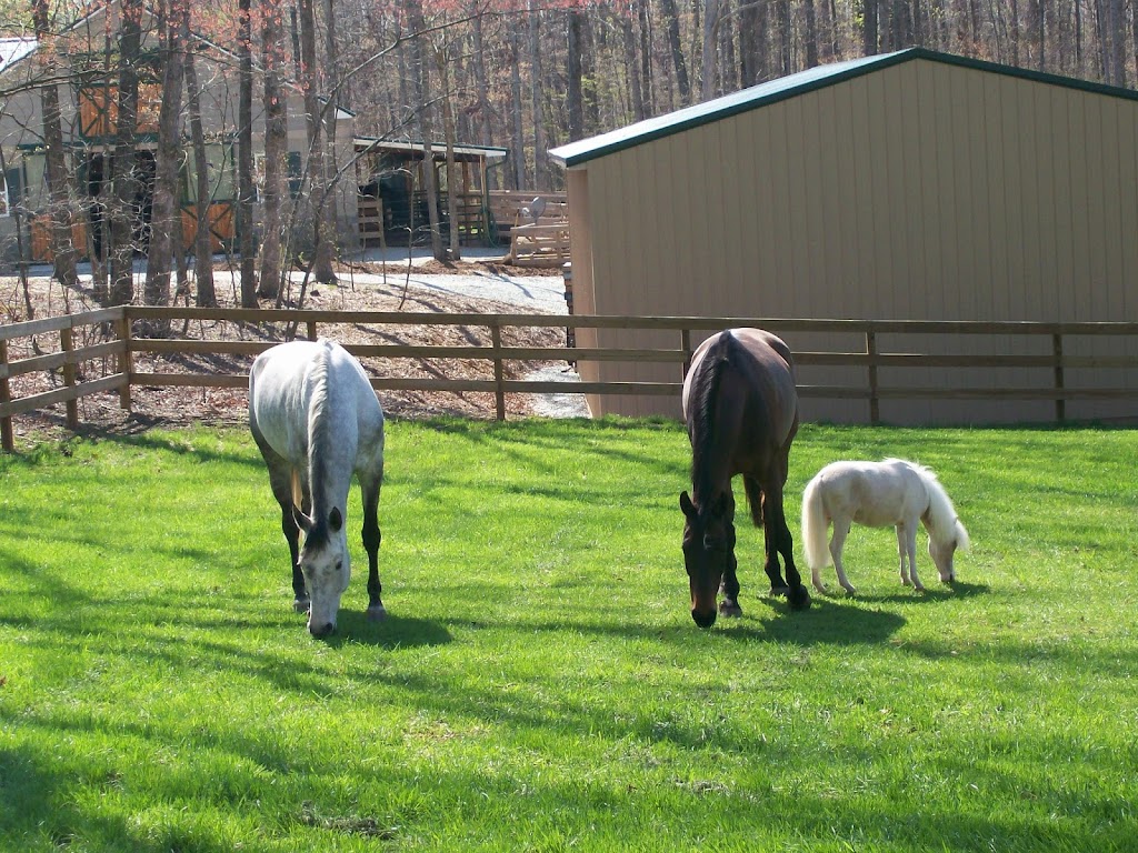 Tillotson Equine Internal Medicine Mobile Services | 2842 Leasburg Rd, Roxboro, NC 27574, USA | Phone: (336) 330-0166