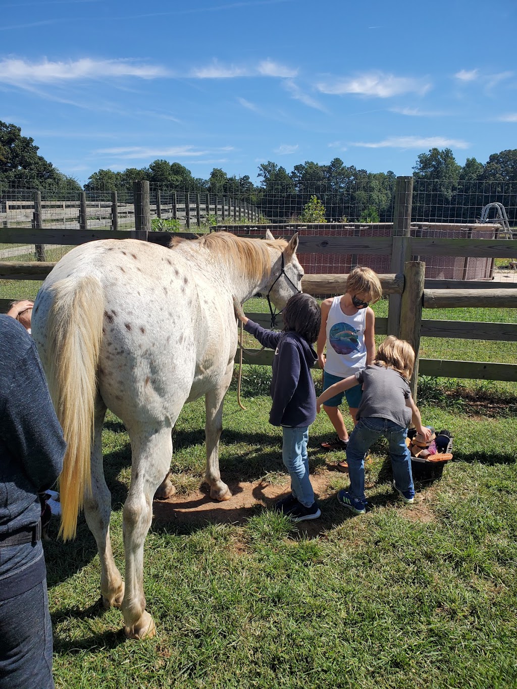 Strouds Creek Farm | 1600 Friendship Ln, Hillsborough, NC 27278, USA | Phone: (919) 406-4552