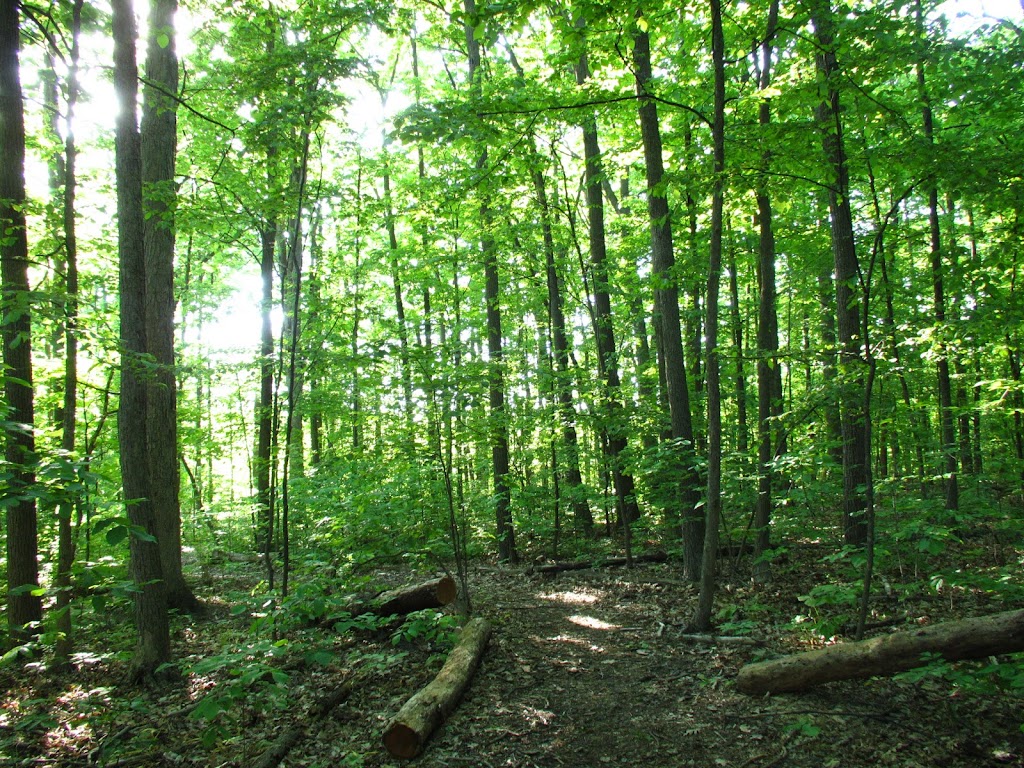 Arbor Hills Nature Area | 3528 Burbank Dr, Ann Arbor, MI 48105, USA | Phone: (734) 794-6000