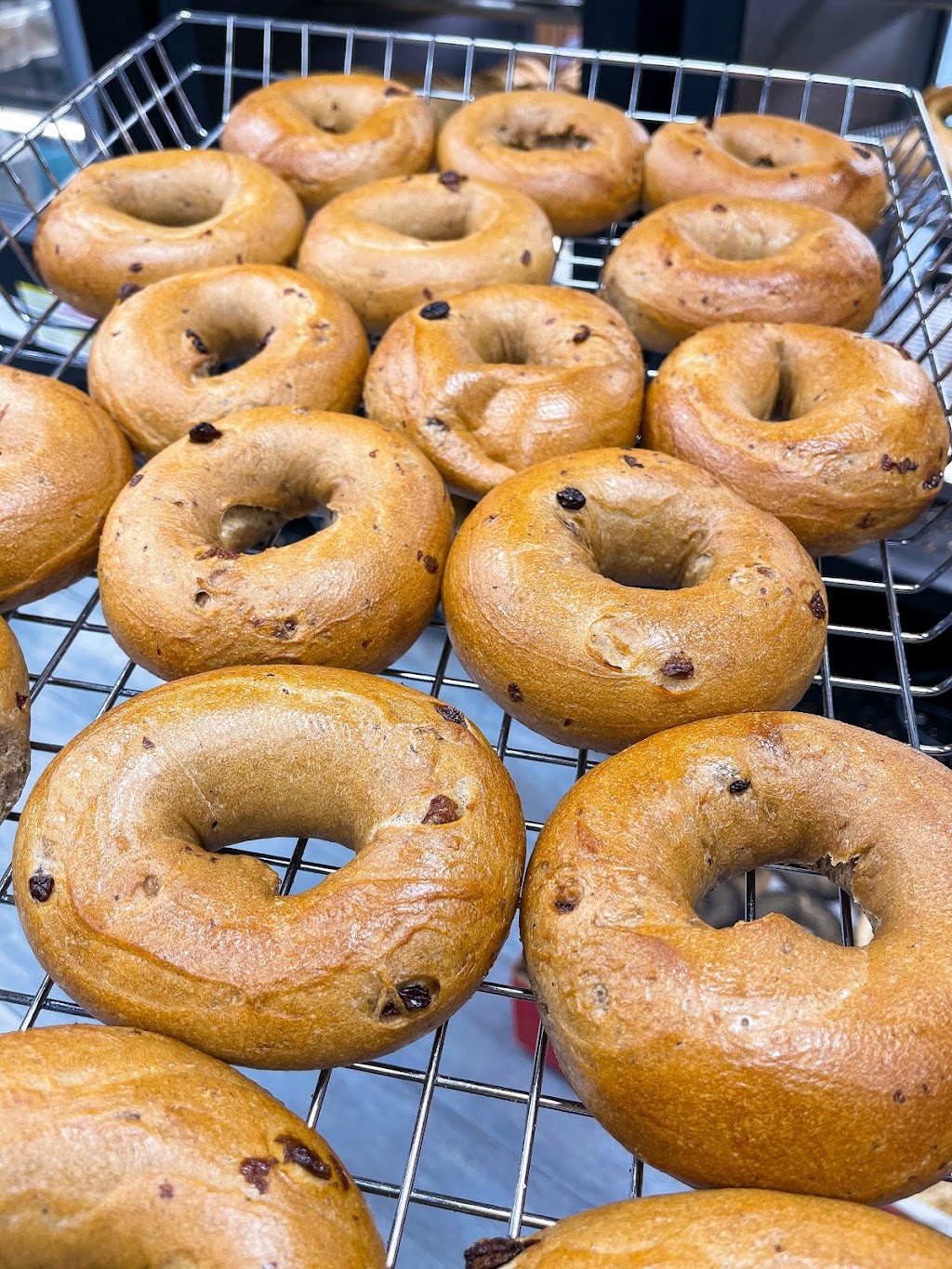 HG Bucks Bagels | 1179 York Rd, Warminster, PA 18974, USA | Phone: (215) 674-1400