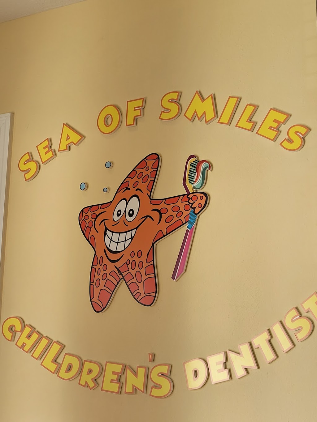 SEA OF SMILES | 3737 Maryweather Ln, Wesley Chapel, FL 33544 | Phone: (813) 528-8717