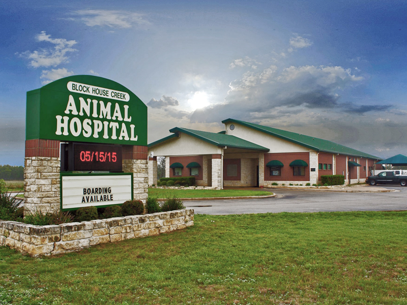 Block House Creek Animal Hospital | 2200 N Bell Blvd, Cedar Park, TX 78613, USA | Phone: (512) 259-4200