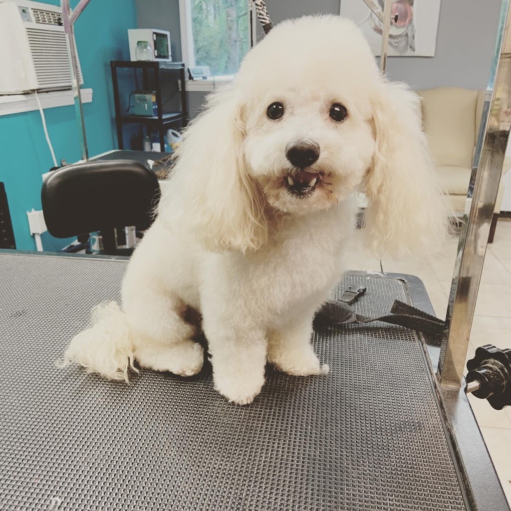 Pet Parlor Pet Grooming ,LLC | 12615 Greenwell Springs Rd, Baton Rouge, LA 70814, USA | Phone: (225) 275-7848