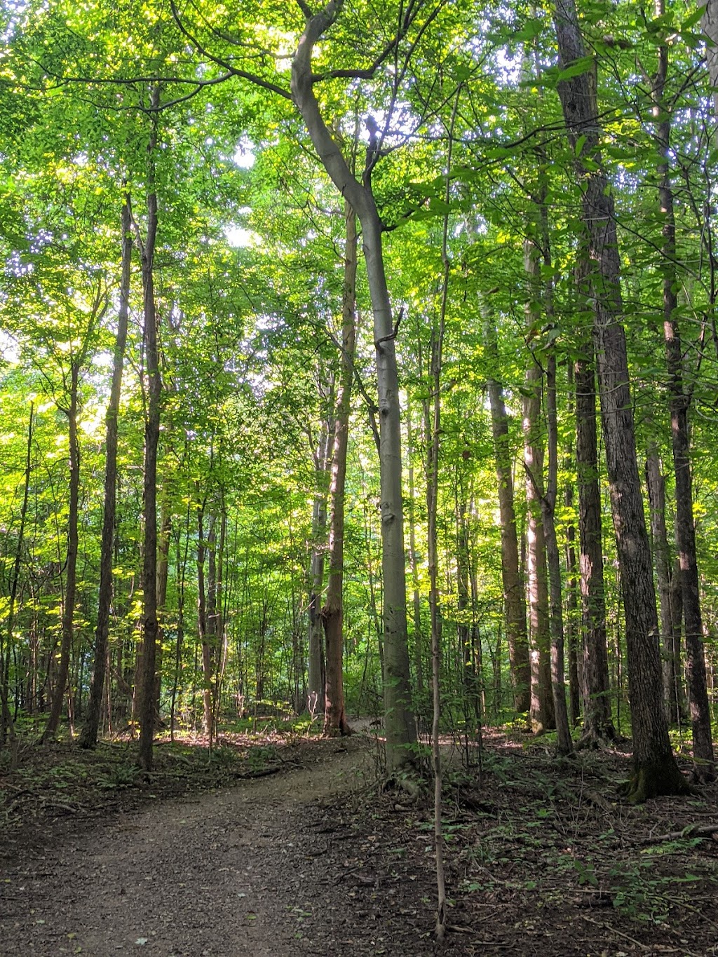 The West Woods | 9465 Kinsman Rd, Novelty, OH 44072, USA | Phone: (440) 286-9516