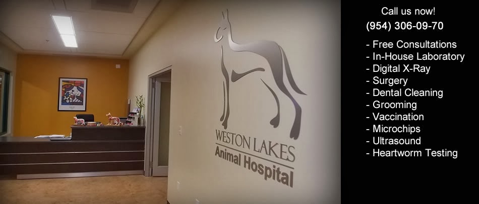 Weston Lakes Animal Hospital | 318 Indian Trace, Weston, FL 33326, USA | Phone: (954) 306-0970