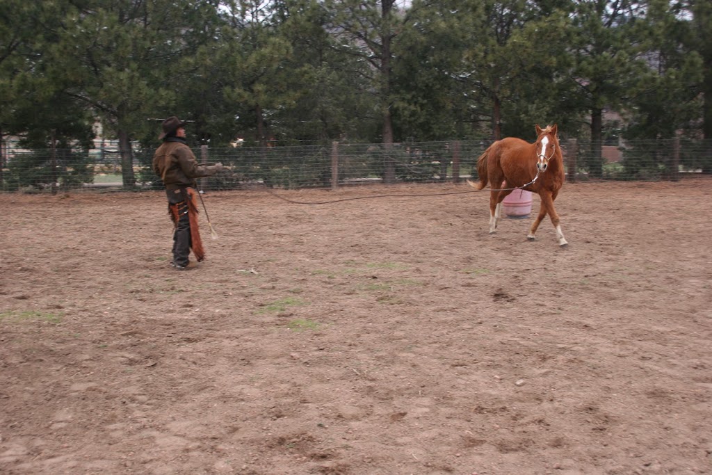 Back In The Saddle Ranch | by appointment only Please, 20370 Drennan Rd, Colorado Springs, CO 80928, USA | Phone: (719) 822-1495