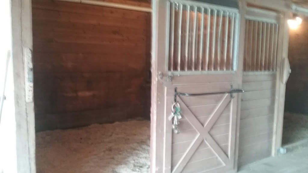 Cardinal Stables and Riding Academy | 1009 US-601, Yadkinville, NC 27055, USA | Phone: (336) 399-7099