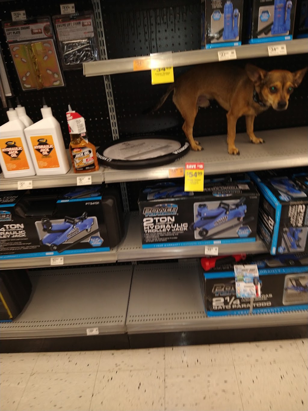 OReilly Auto Parts | 13710 W Waddell Rd, Surprise, AZ 85379, USA | Phone: (623) 544-9560
