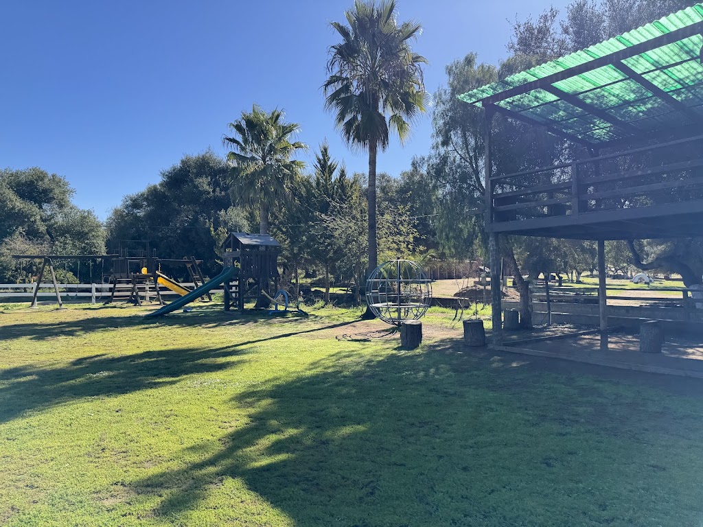 El Correcaminos | KM 93, México 3, 22766 Villa de Juárez, B.C., Mexico | Phone: 646 155 3101