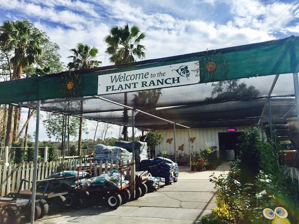 Plant Ranch Nursery | 14108 Beach Blvd, Jacksonville, FL 32250 | Phone: (904) 223-4546