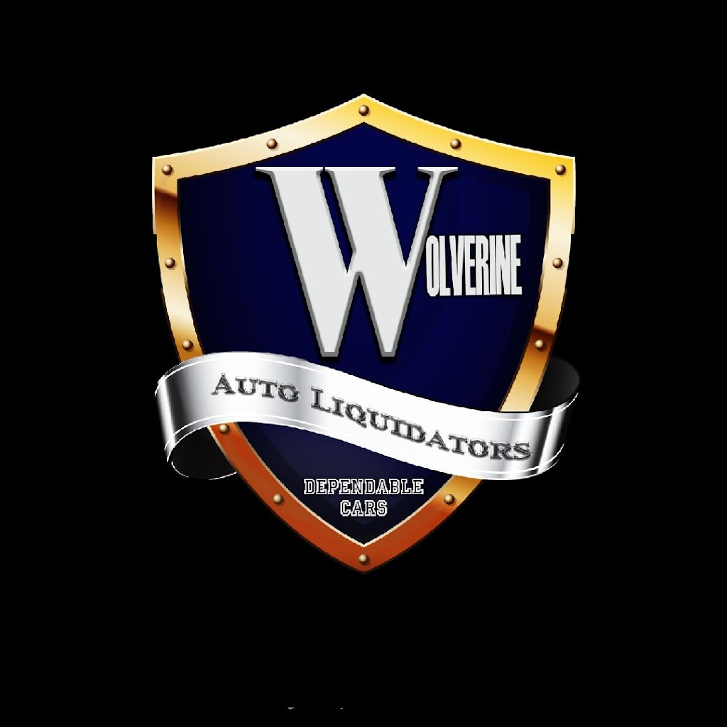 Wolverine Auto Liquidators | 2430 E Michigan Ave Suite D, Ypsilanti Charter Twp, MI 48198, USA | Phone: (734) 879-0504