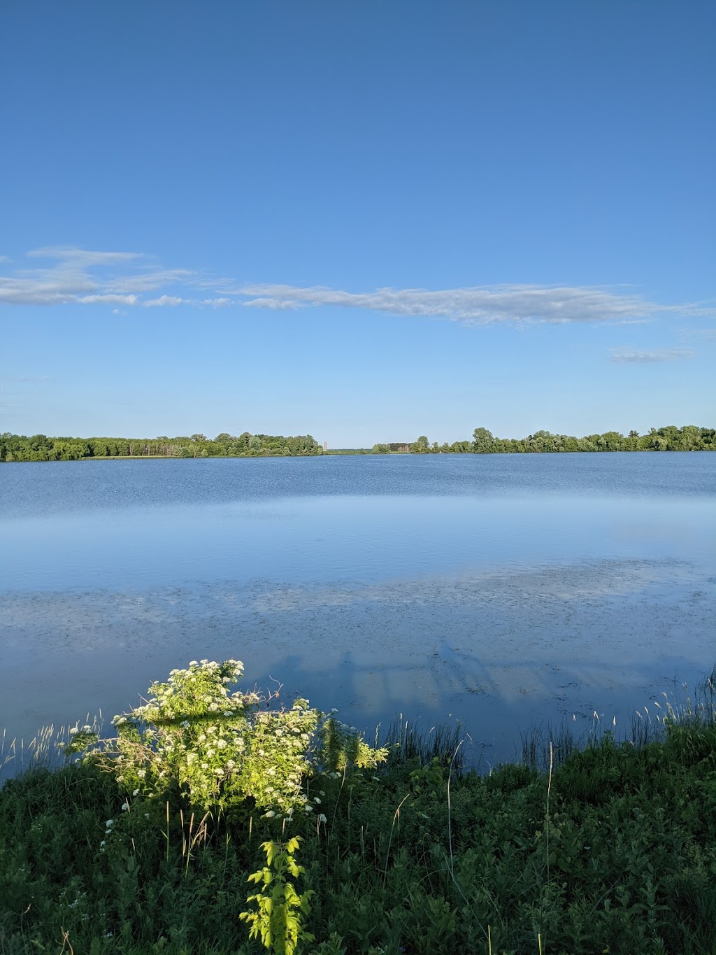 Patrick Marsh Wildlife Area | Stein Rd, Sun Prairie, WI 53590, USA | Phone: (608) 258-9797