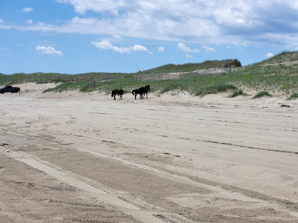 Currituck Banks Reserve | Corolla, NC 27927, USA | Phone: (252) 261-8891