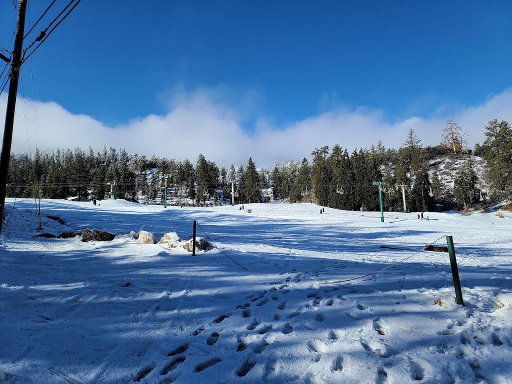 Big Bear Lake Cabin Rental | 1382 Lassen Ct, Big Bear Lake, CA 92315 | Phone: (858) 405-4826