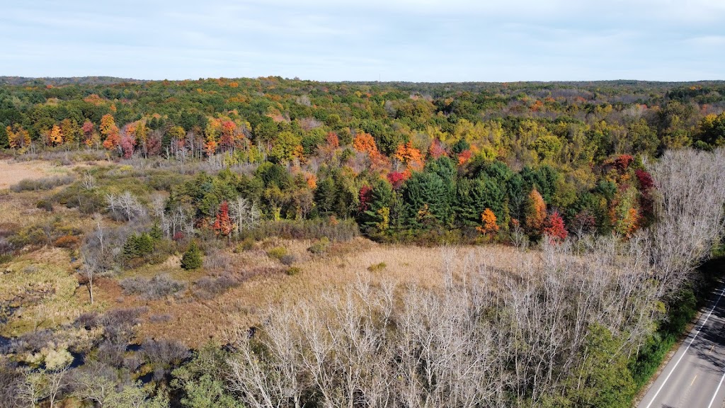 Holly Recreation Area Organizational Campground | McGinnis Rd, Holly, MI 48442, USA | Phone: (248) 843-5055