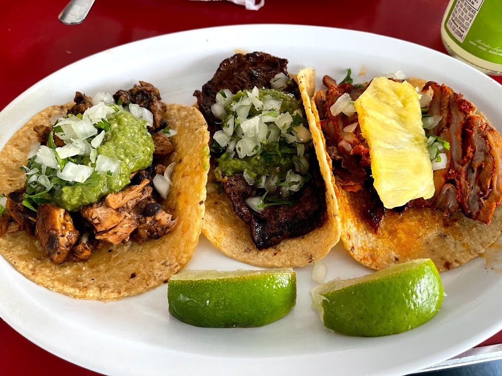 Tacombi | 25 Lafayette Ave, Brooklyn, NY 11217, USA | Phone: (347) 294-0647