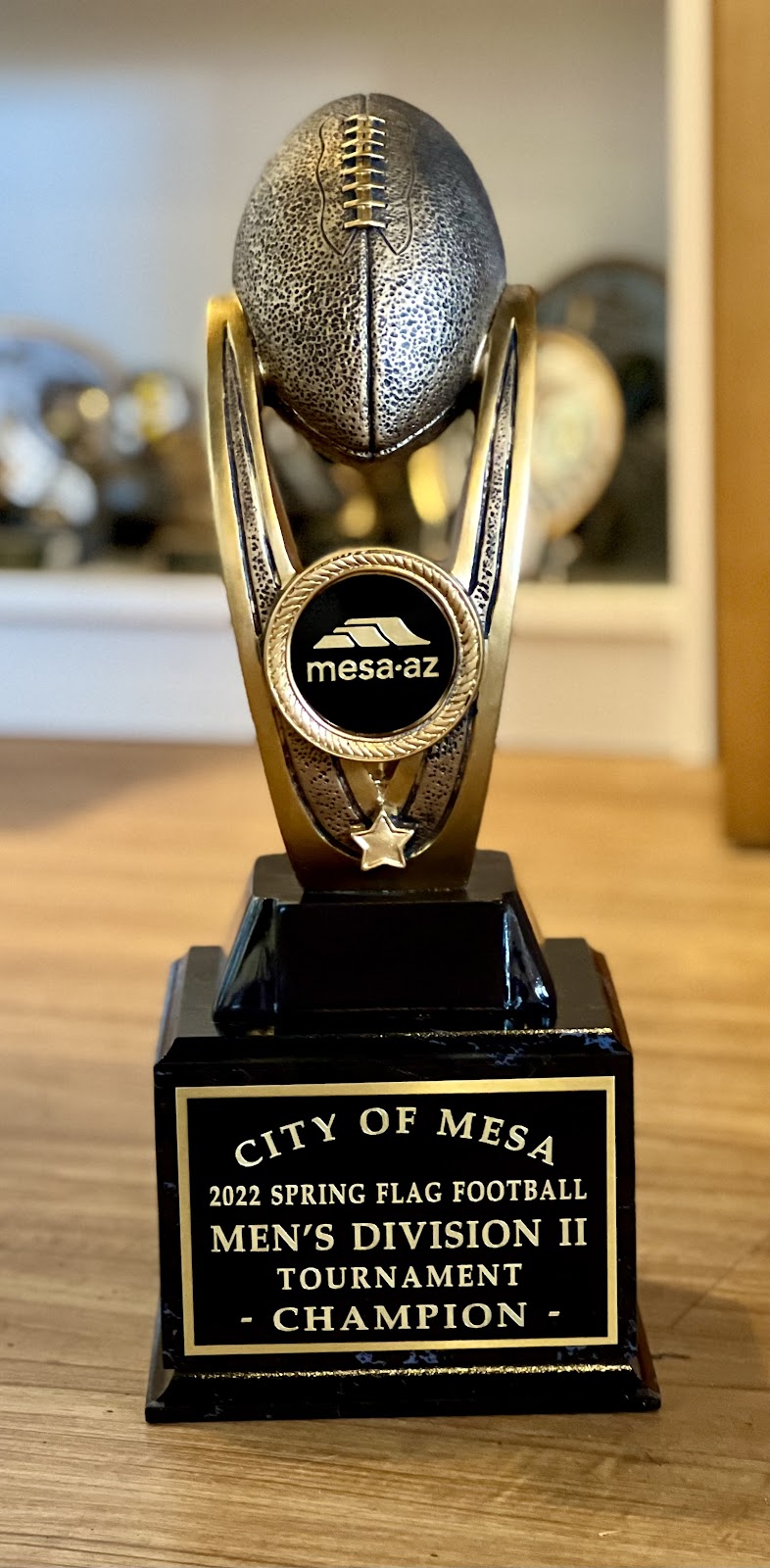 M&S Awards, Gifts and Engraving | 5540 E Broadway Rd UNIT 12, Mesa, AZ 85206, USA | Phone: (480) 969-2209