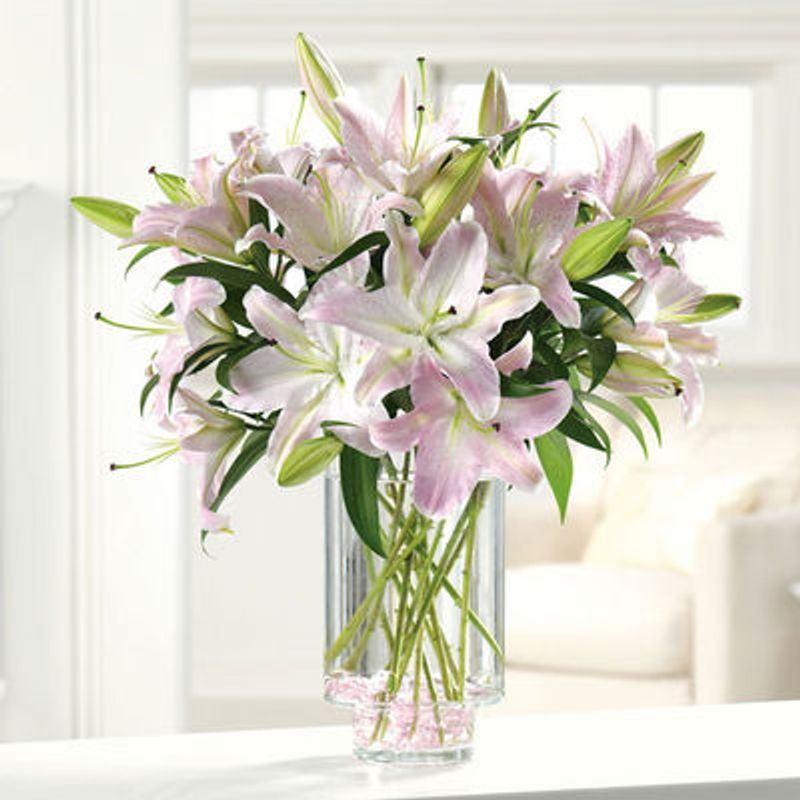 Cindys Fresh Flowers and Gifts | 1539 Laurel Pl, Menlo Park, CA 94025, USA | Phone: (650) 304-4773